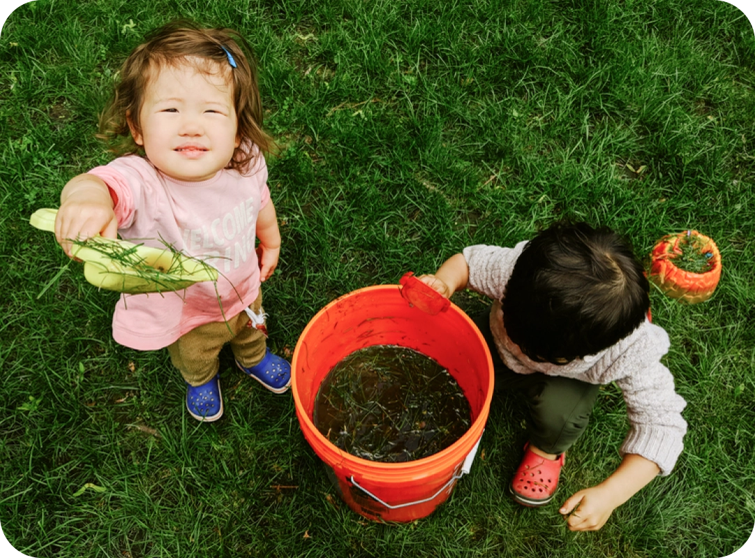 Buzzing about Bugs and Bees: Overcoming Fears