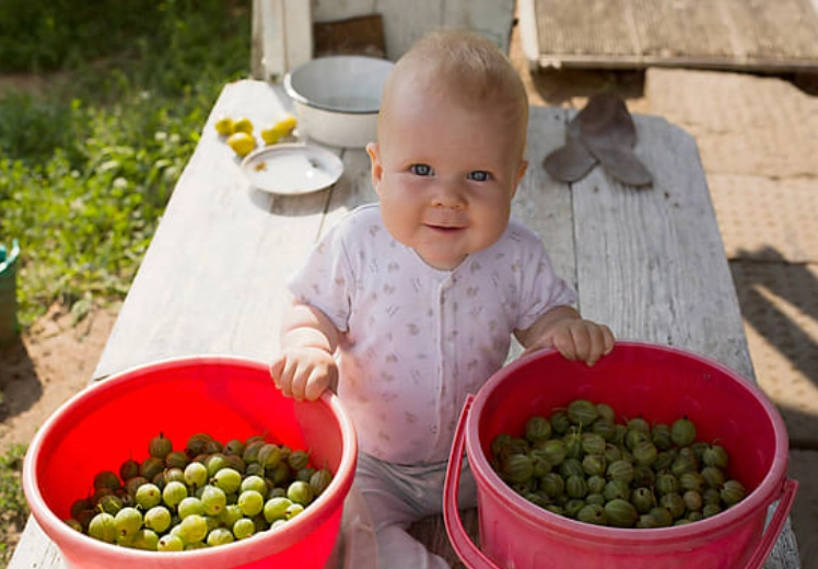 My First Summer: Sensory Play with Your Baby